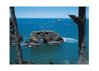 Biraz oradan biraz buradan ortaya karışık