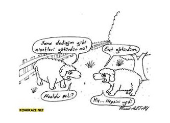 " Ne diye tutarsın yüreğini uçmasın diye "