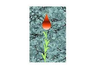 Senin ülkenden geliyor bu lale