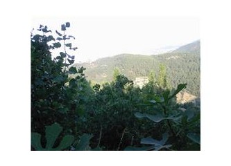Onda bir köy var çok yakın ama yaşamın uzağında!