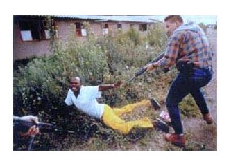 Değişen düzen ve siyasal seleksiyon