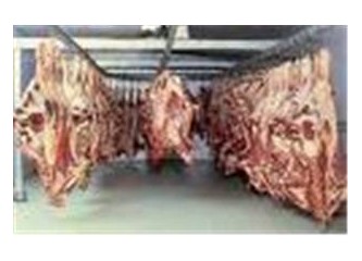 Et ithalatı ve düşündürdükleri