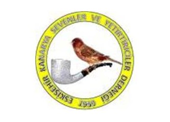 Bülbülün çilesi, kanaryanın çenesi