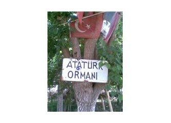 Atatürk Ormanı