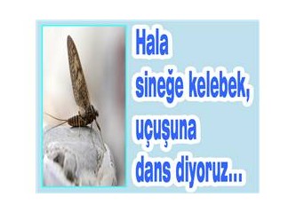 Hala sineğe kelebek, uçuşuna dans diyoruz...