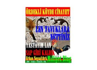 “Ördekli Köyü”nde; Y.K. Kümesin kapısını açık bırakıp, tavuklarını tilkilere yedirenleri öldürdü....