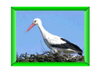 Nüfusu nitelikli artırabilmek