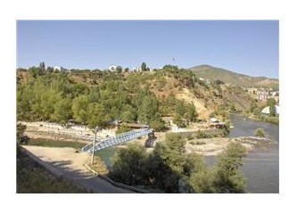 Dersimin yaşlı çınarları