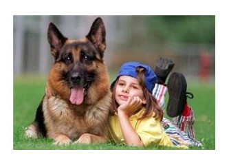 Koklayarak kanseri teşhis eden köpek