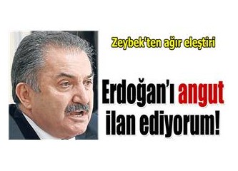 Başbakanımız angut mu yani? Dur bakalım daha neler duyacağız...