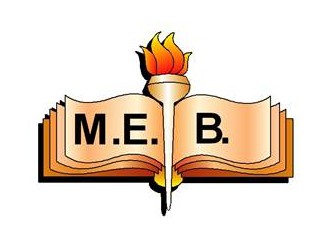 MEB kendi ağını kurmalı