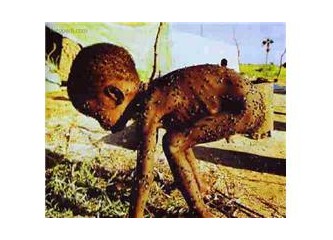 ‘’ Somali’deki Açlık’’ İstismarı