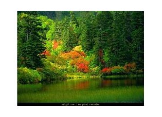 İnsanın bir memleketi olmalı