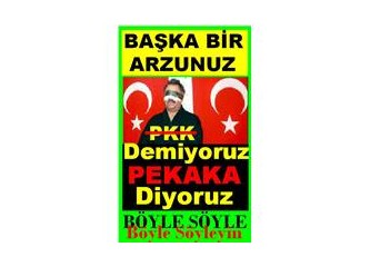 Başkaca bir arzunuz..?