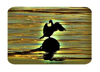 Demokratik kürt açılımına kendilerimden açılımlar