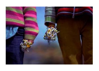 Yaşamın Kıyısındaki Düşler!