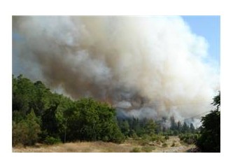 Orman yangınları ile mücadele ve orman köylüleri