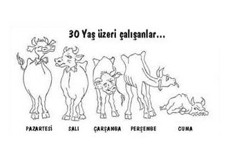 Kim daha çok tatil yapıyor?