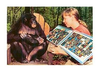 Maymunlarla insanlar arasındaki fark