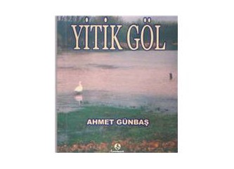 Halkapınar'da bir göl vardı...