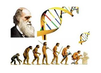 Karışık bitkisel çaylı evrim teorisi