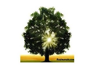 Ellerini bulayıp kanına