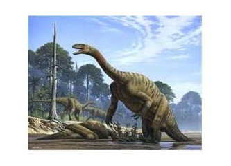 Dinozorların evrim geçirmesi mümkün mü? - I