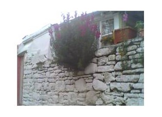 Bir nefes ege ve Kozbeyli