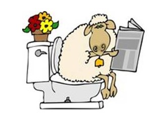 Bloglarda bu da oldu!!