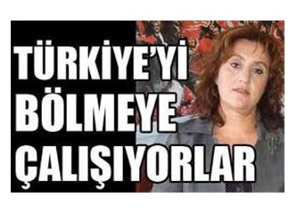Demokratik haklar ve kabak tadı