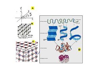 Dom (22)  Doğadaki Oluşumun Özeti:  “Wave Structure Of Matter''