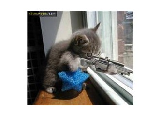 Paran kadar tecavüz et!