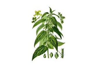 Eklem hasarında bitkilerle tedavi