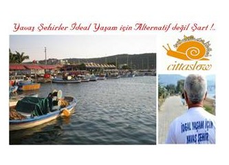 Sakin Şehrin ‘ORKİNOS’ Telaşı