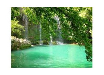Bütün tuzu kurular Antalya'da mı toplanmış ne?