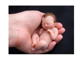 G elin D üşünce O luşturalım