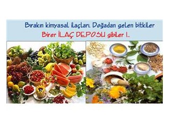 15 Mucize Bitki