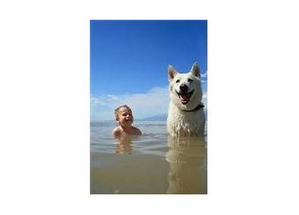 İyi Dost Köpek ve Hidatik Kist