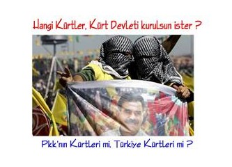 Kürt Devleti Kurulmasını İster misiniz?