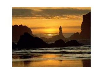 Deniz Yıldızları