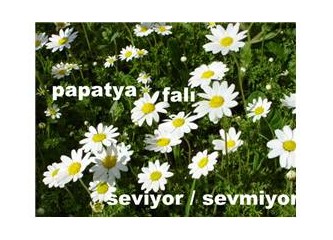Aşk ve Sevda üzerine Dünya Atasözleri