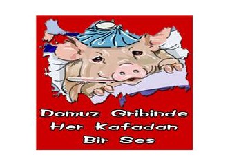 Domuz gribinde her kafadan bir ses