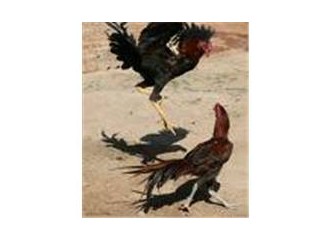 Meğer Demokrat Olmakda Suçmuş!