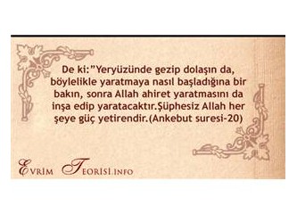 Prion proteini hakkında aldatmacalar, çaresiz Darwinistlerin durumunu kurtaramayacak