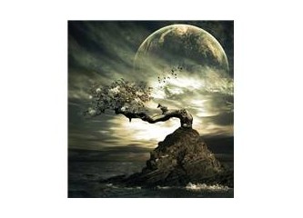 Gece uyurken