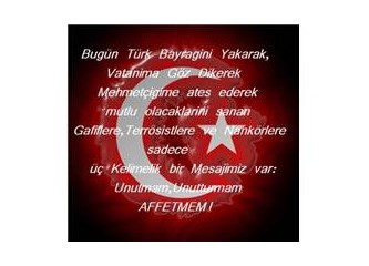 Damarlarımda Türk kanı var