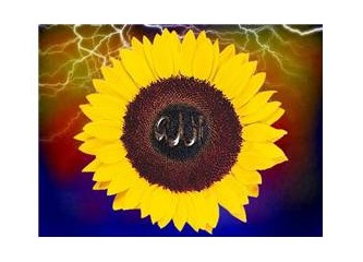Allah'ın Lütfu: Kur'an Ahlâkı-II