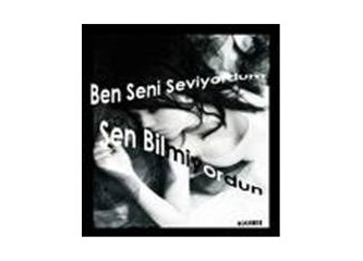 Seni Seviyordum