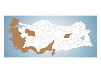 Referandum