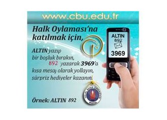 Web, yarışma ve Altın Örümcek